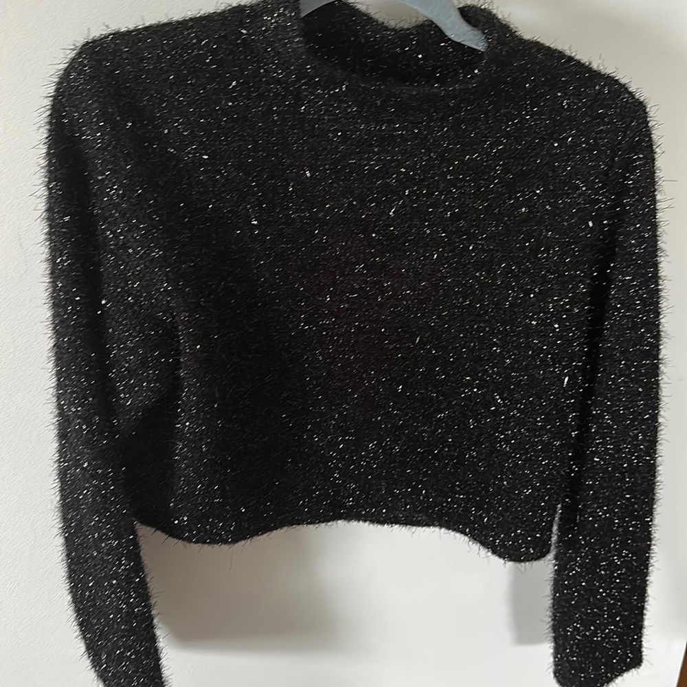 Sparkly Cropped Mockneck from H&M